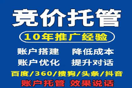 谷歌SEM与移动端优化：某APP的推广策略及效果